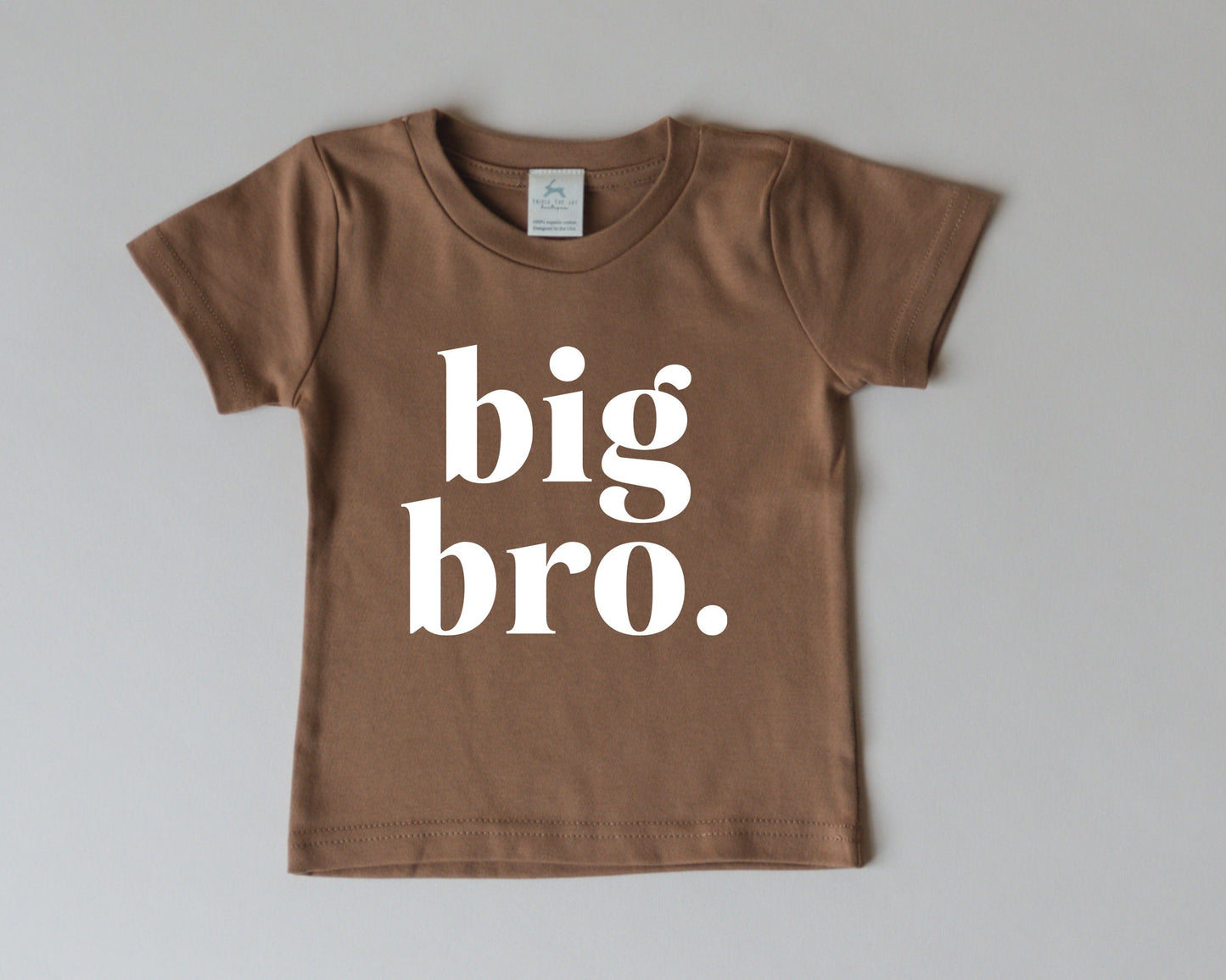 Big Bro Organic Cotton T-Shirt - more colors