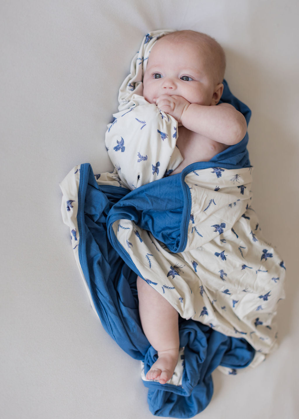 Blue Jays Luna Wrap